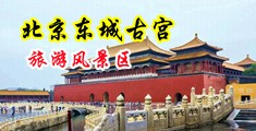 快点使劲操死我视频中国北京-东城古宫旅游风景区